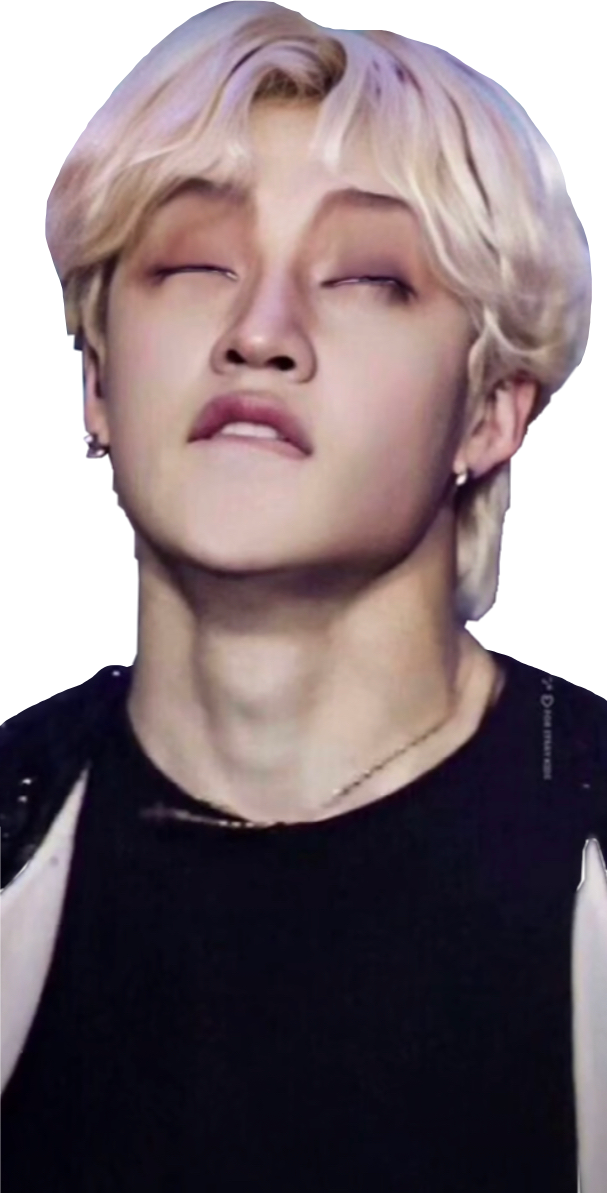 Bangchan Chan Straykids Skz Meme Sticker By wack shrimp
