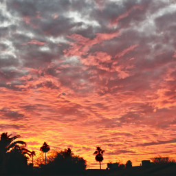 photography sunset landscape sky freetoedit myphoto