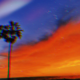 freetoedit california beach palmtrees