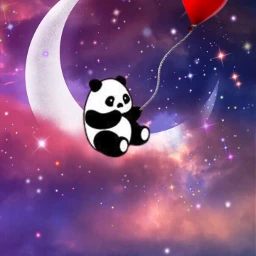 panda aesthetic moonlight srccutepandas cutepandas freetoedit