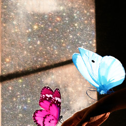 butterflyedit butterflies freetoedit