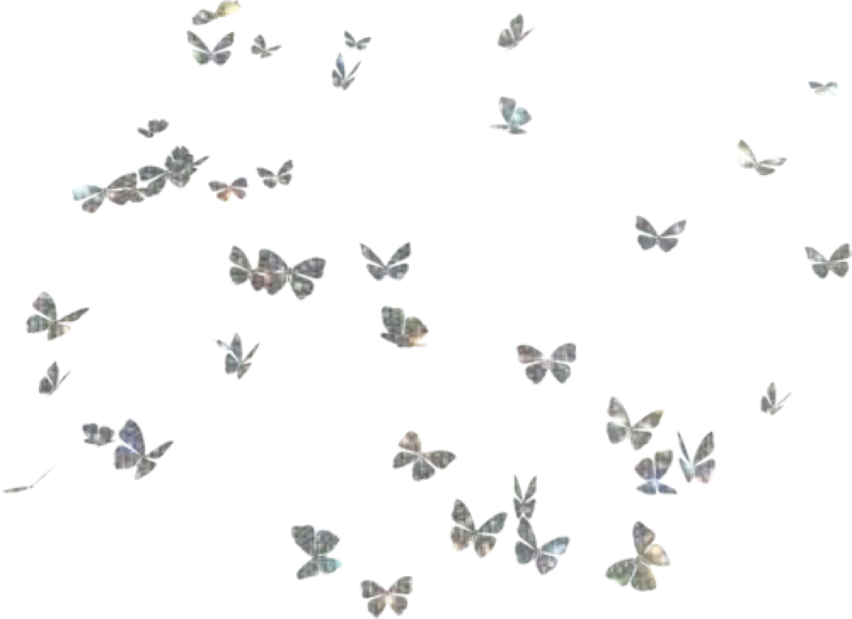 stickers sticker butterfly butterflies sticker by @sona75