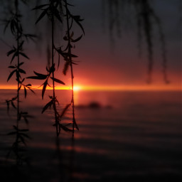 sunset lakeerie willowtree blessed pcmothernature mothernature
