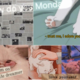 cats aesthetic aestheticgfx vintage aestheticcollage artisticcollage aestheticvintage dream freetoedit