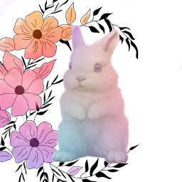 board bunny flowers freetoedit