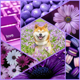 violet ccpurpleaesthetic purpleaesthetic