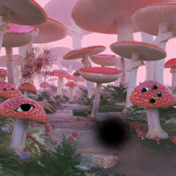 shart weirdcore aesthetic aestheticedit edit mushrooms blood eyes eye yes freetoedit