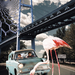 weird dreams bridge myphoto edited road clouds flamingo shrimp car freetoedit