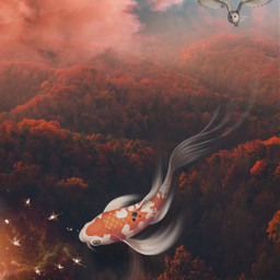 dreamscape surreal fish koi clouds edited myedit madewithpicsart freetoedit