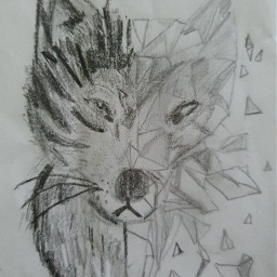 mydrawing idk whatuthink? lyall♥️♥️♥️ ly nice wolves wolf draw drawing blackandwhite bleistift with♥️ animal taglist👇
@raelynn_roblox_girl thxforeveryfollowcommentorlike ❤
🖤🤍🖤🤍🖤🤍🖤🤍🖤🤍🖤🤍🖤🤍🖤🤍 freetoedit whatuthink lyall with taglist