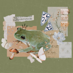 wildflowers_contest frog froggy froggyedit frogedit mushroom scrapbooking scrapbookaesthetic greenaesthetic green freetoedit