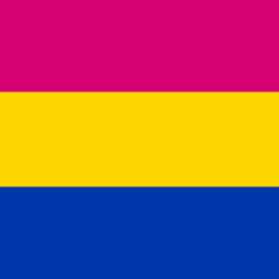 lgbt lgbtq lgbtqia pan pansexual pride month pridemonth flag flags