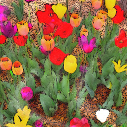 tulipsquad freetoedit