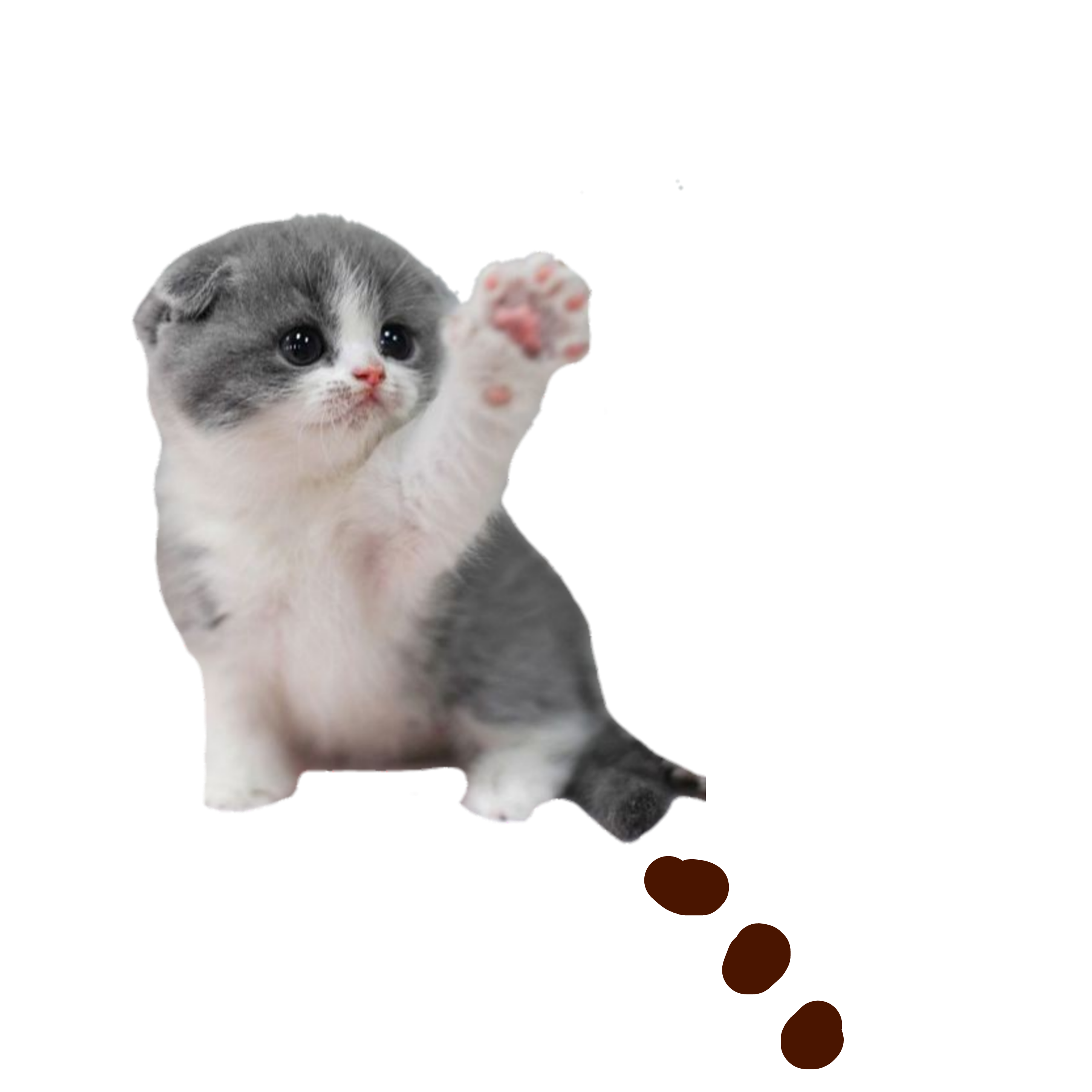 kitty-freetoedit-kitty-sticker-by-kdav-id16