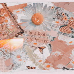 yxllxw collage cute vintage green aesthetic sticker butterfly orange pink yellow aestheticvintage purple periwinkle aestheticwallpaper aestheticbackground vintagebutterfly black warm bright color colors colorful wallpaper background freetoedit