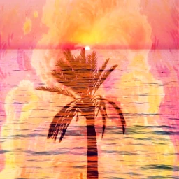 palmtree sunset ircthesunsetpalm thesunsetpalm freetoedit