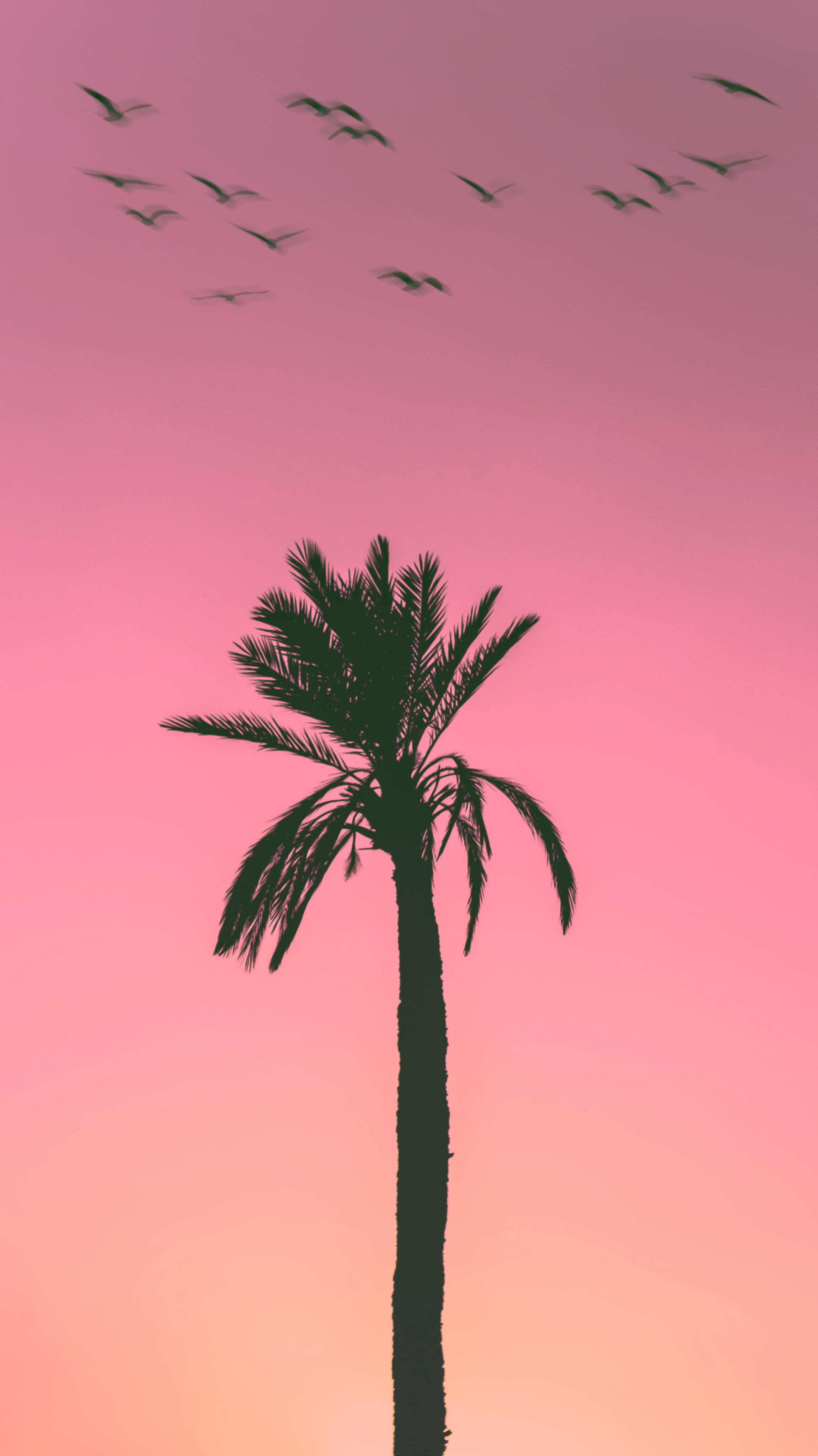 saved-to-drive