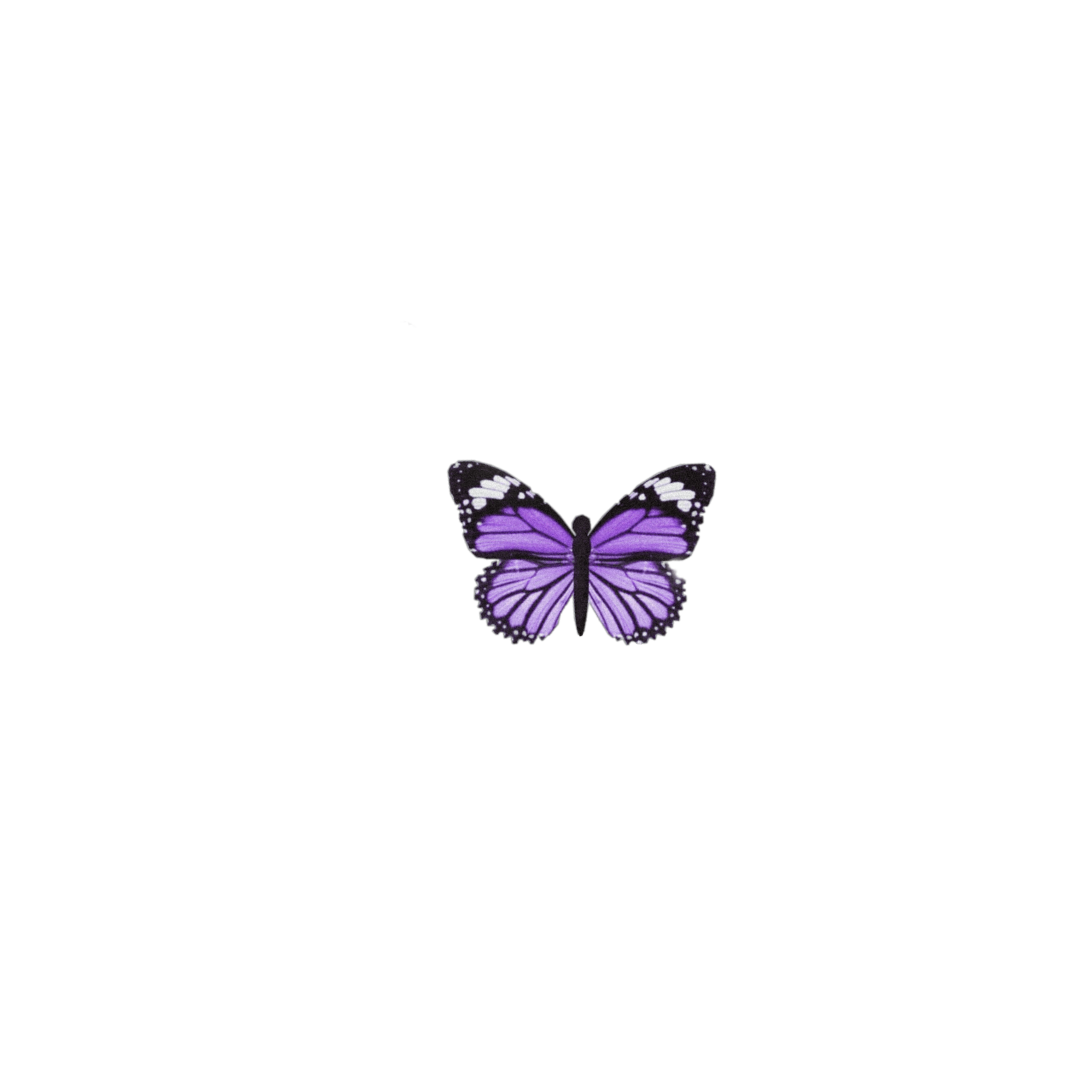 butterfly purple aesthetic sticker by @kiki_aesthetico