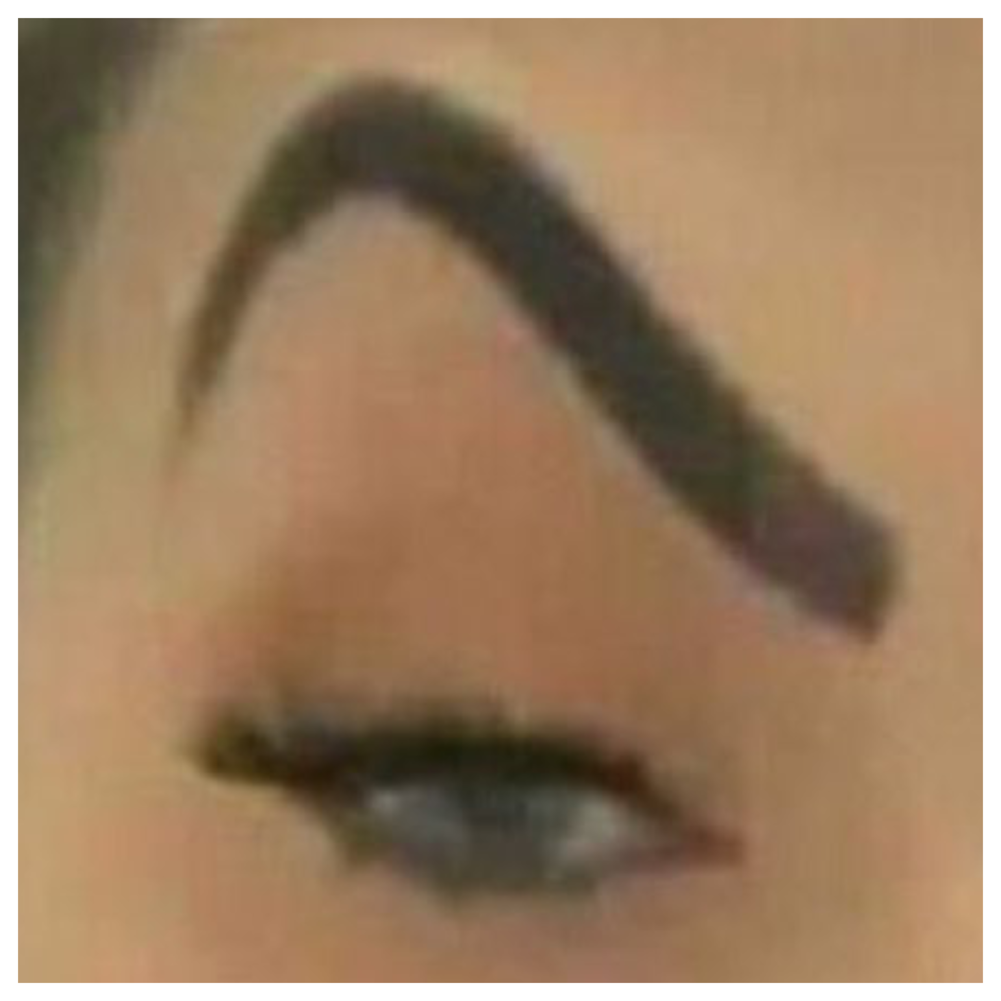 Mc Mirella Sobrancelha / Mc Mirella's Eyebrow / Sus Eyebrow