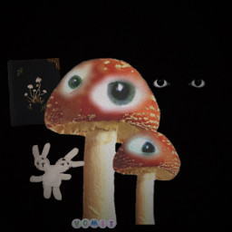 freetoedit mushroom eyes weirdcore i