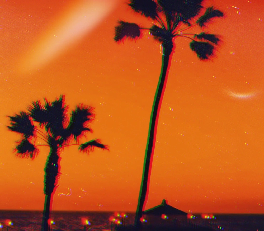 #sunset #palmtrees #colorful 