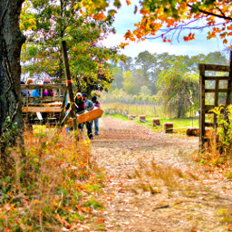  pumpkinfarm hayride autumn pcoutside