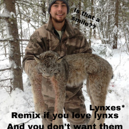 freetoedit idk remix repost stophuntinginnocentanimals antihunter lynx lynxes