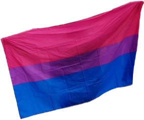 png pngs moodboardpng moodboardfiller fillerpng bisexual bisexualflag bisexualpride bi biflag bipride freetoedit