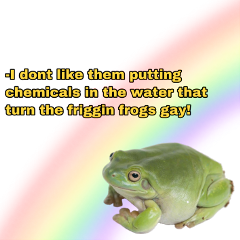 freetoedit gayfrog gayfrogs turnthefrigginfrogsgay frog gay lgbtq frogs