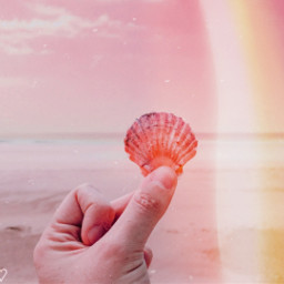 ️⃣ luz light conchamarina seashell
*️⃣ freetoedit seashell ecseacreatures seacreatures