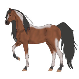 halfarabian horseridingtales foxiefanart googlethebudgie