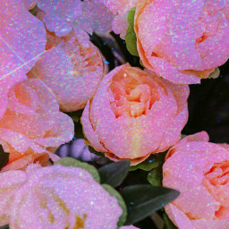 happy flower flowers plant floral garden picsart trend picsartreplay picsartremix picsarteffects imagination glitter brillo luz galaxy cores oriartbr freetoedit