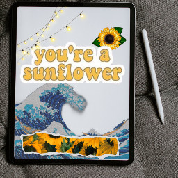freetoedit sunforever sunfolower youreasunflower ircgetcreative getcreative