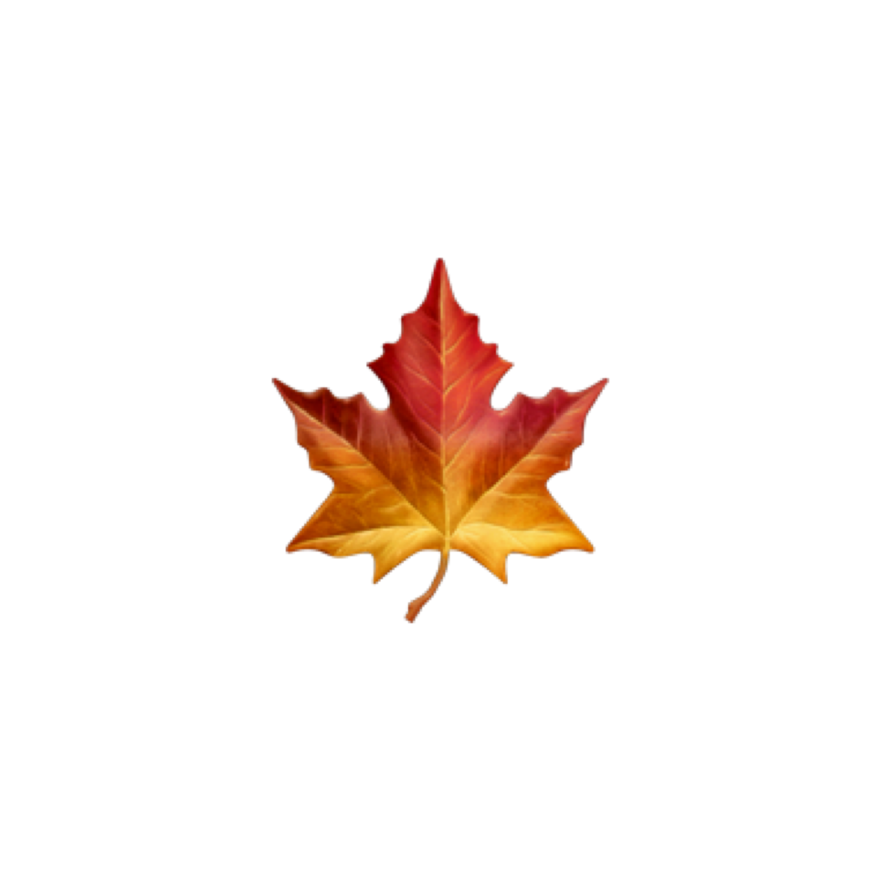 fall autum red orange leaf leaves sticker by @baileygb1