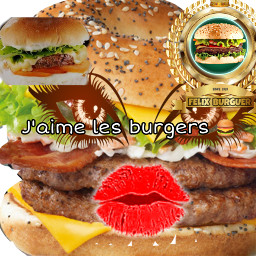 freetoedit jaimelesburger