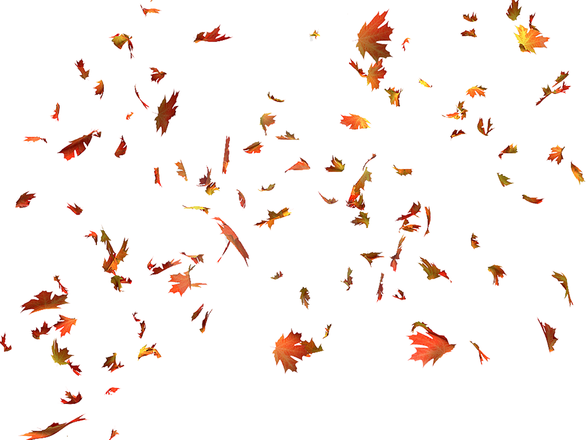 freetoedit automne feuilles sticker by @anonymissangel