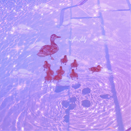 pink glitter ducks family sweet cute animals water sparkle kawaii pastel soft lovely babyanimals purple violet dream dreamy summer heaven ethereal shine nature pool fairycore freetoedit