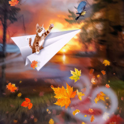 freetoedit autumn october november leaves cat flying flyingcat paperplane bird wind nature fantasy alienized wallpaper uhd picsarteffects editedwithpicsart