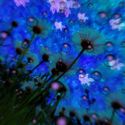 freetoedit underwater flowers sky local srcpinkfishies pinkfishies