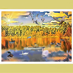 freetoedit aummer autumn lakes swan ducks boating boat fish fishing anthonyjbucherati buch buchsphotos seymourbirdsanctuary nikond3300 sonya6000 canonrebelt5 akaso gopro photography photowinner ctvalley derby parks nature