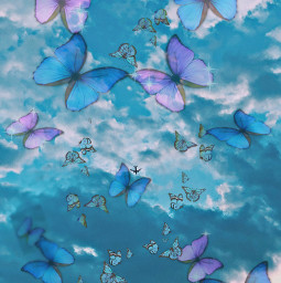 freetoedit buterflies