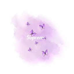 freetoedit supreme purple wallpaper