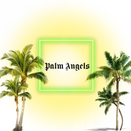freetoedit palm palmtrees palmangels sun wallpaper