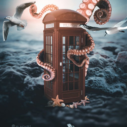 freetoedit telephone fish starfish octopus moody sea visual visual_creatorz visualart surreal sunset surrealisticworld visualarts