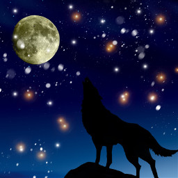 freetoedit nightwolf