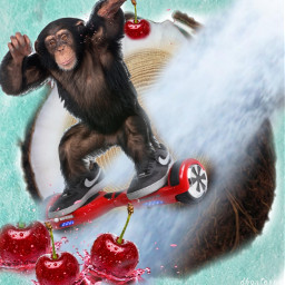 treecookie coconut monkey hoverboard waterfall cherries dbanta2021 freetoedit picsart ircatreecookie atreecookie