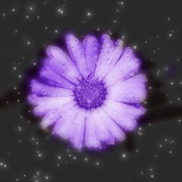 freetoedit flower