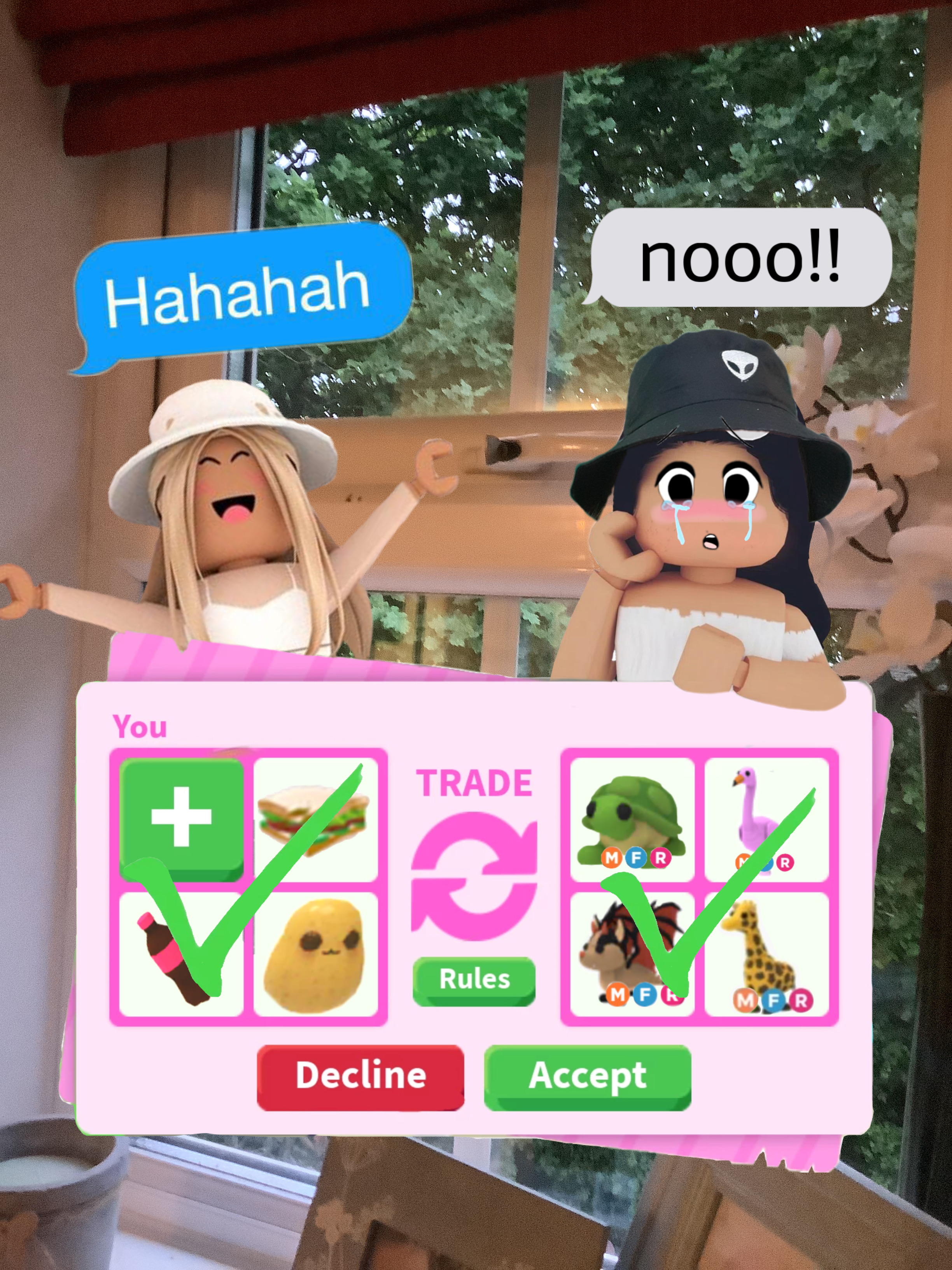 adoptmetrade & similar hashtags