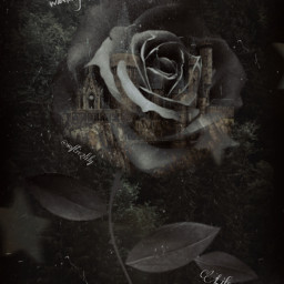freetoedit dark picsart black rose sad goth gothic gloomy grey aesthetic nostalgia sadness lonely flower vintage retro photo