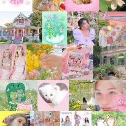 kpop pink yellow green poster collage pretty aesthetic plants nature felix chaeyoung rosé cats twice flowers frogs cute hearts love kitten straykids blackpink jimin bts